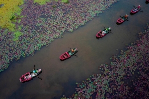 Lên đồ ngắm hoa súng ở Ninh Bình ngay