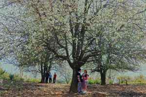 Nậm Nghiệp – Viên ngọc mới giữa núi rừng Sơn La