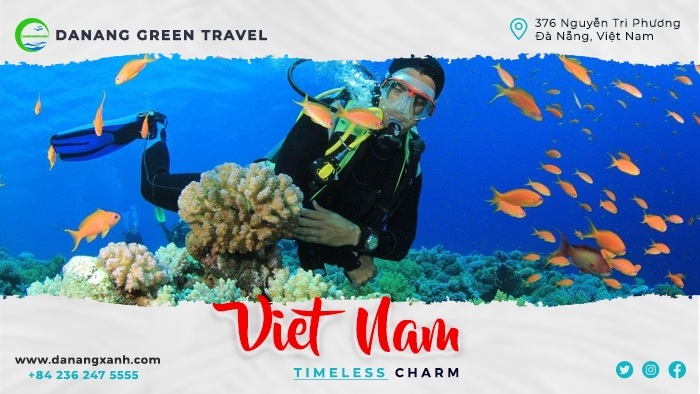 Tour lặn diving Cù Lao Chàm 1 ngày từ Đà Nẵng cực hot