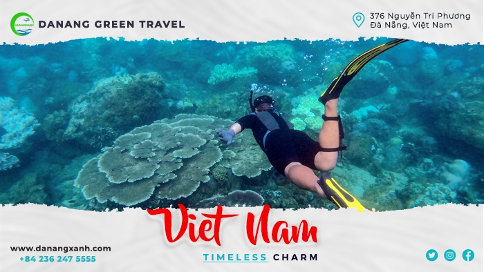 Tour lặn biển ngắm san hô bán đảo Sơn Trà Đà Nẵng